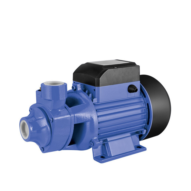 Electric Peripheral Transfer Clean Water Pump for House And Irrigation